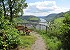 Neef und die Mosel